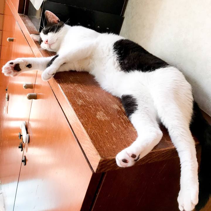 3991b2eb 9d90 4ce9 a62e 51dd159aab27 1531360234385