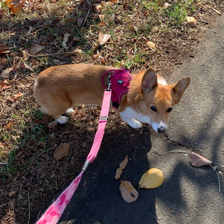 3991c836 705f 429e b1b2 dfbed89d6426 1701570447035