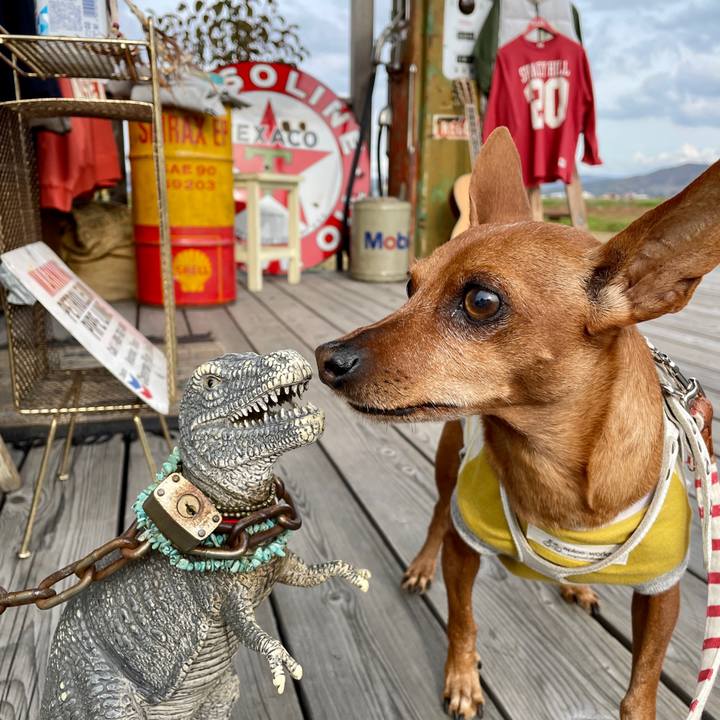 3991d475 c040 419a 8306 2b27cf5c3a4f 1665912405915