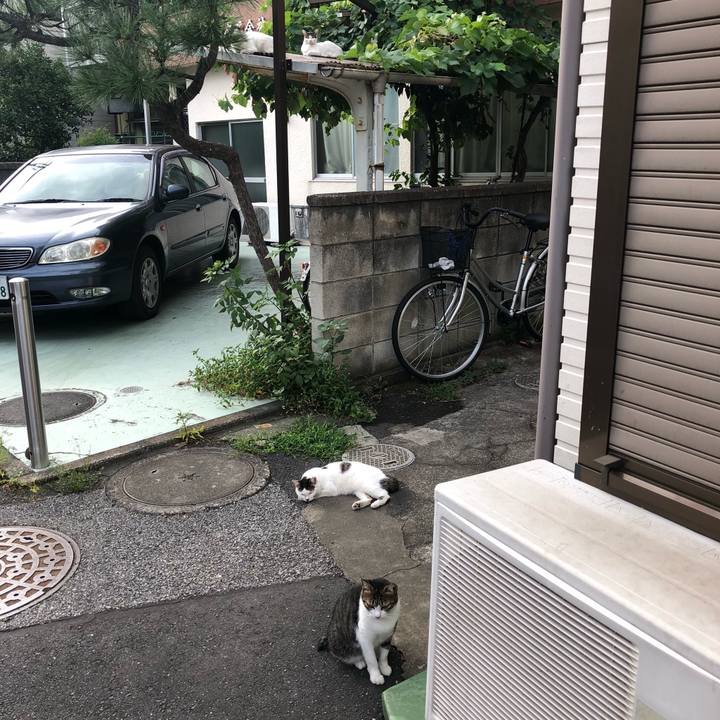 39920e02 d874 42fa 8579 004fb8d06d06 1535657082864