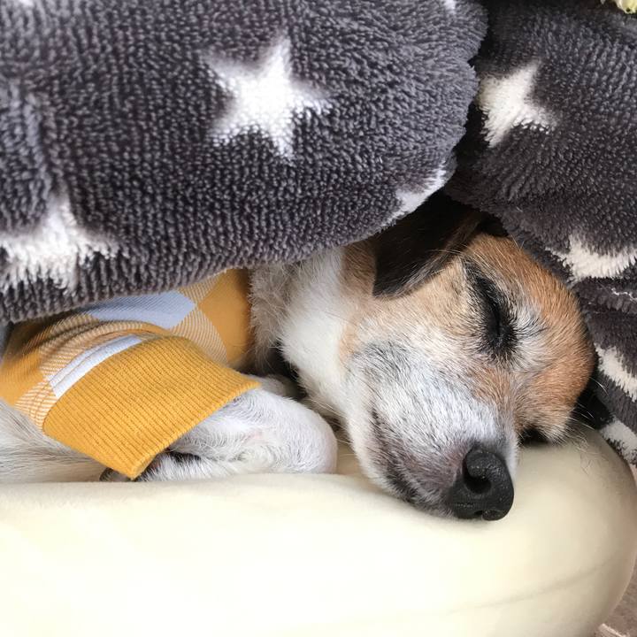 39923f4a 8698 48da 9fe0 44284569ab32 1580371218598