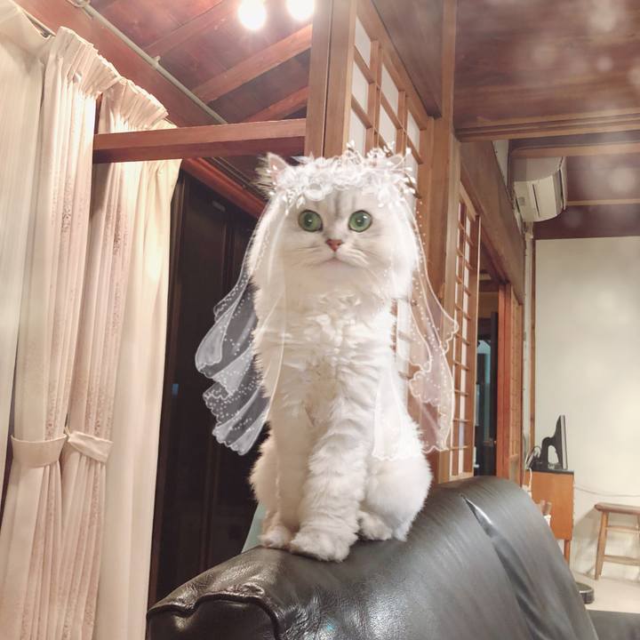 39926ce5 a945 457d b972 bc3dc01d22fb 1563668016349