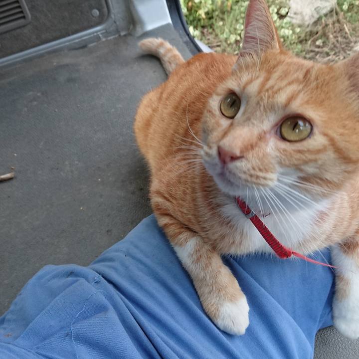 3992a194 0411 4501 ae5d 47749e9baaac 1570263068629