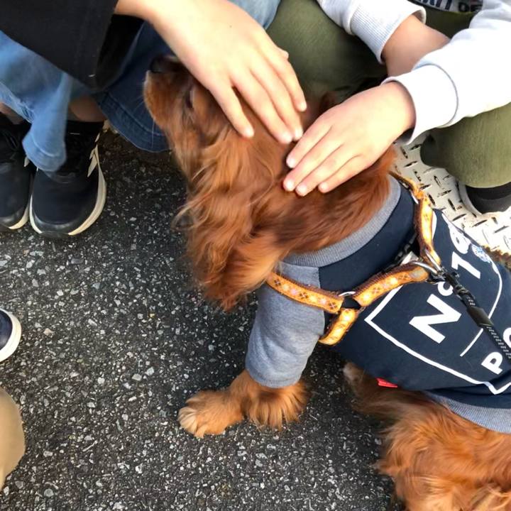 3992de89 7a62 4a9b b678 cc4a2a7c8314 1645867737320