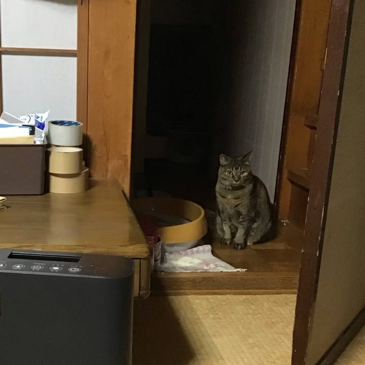 3992f07c 1409 4205 b09d cd99c08ced8d 1763121012011