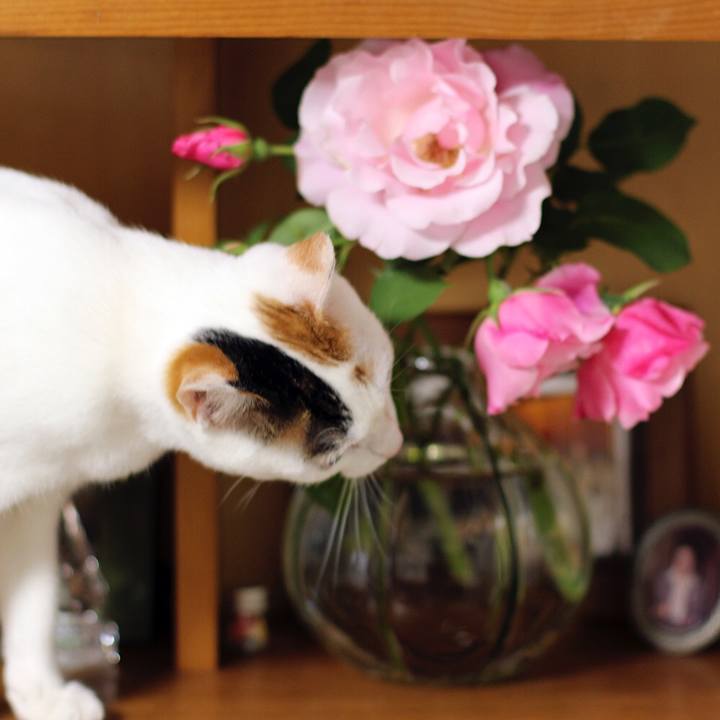 3993158b 0d62 4039 8947 c67c82442bac 1589517477431