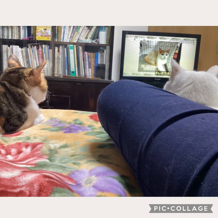 39932864 cb13 4ce7 ab7c e39dc793a570 1670410388759