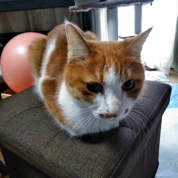 39933025 9efb 4630 831b e79a5f093934 1569196744848