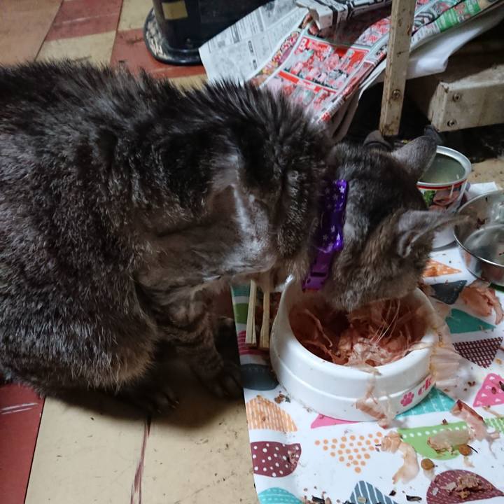 39933b8e 77df 4106 ab45 d8970f579ad1 1590876423117