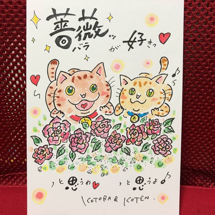 39933c67 55a9 40e2 93b3 66a98a0c8838 1574084988563