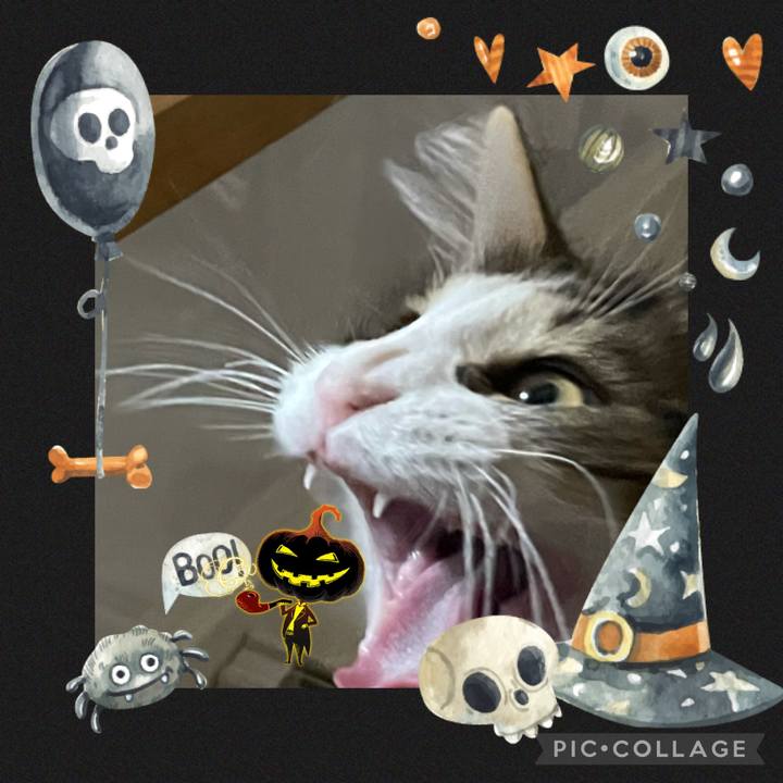 399381d9 7636 45f1 b139 f5ffe3a70041 1635658903991