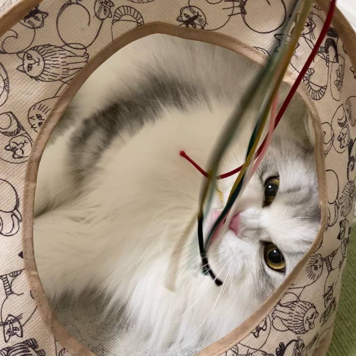 3993be2e 30c2 4c25 9e80 9d37d1a6c05e 1659830954665