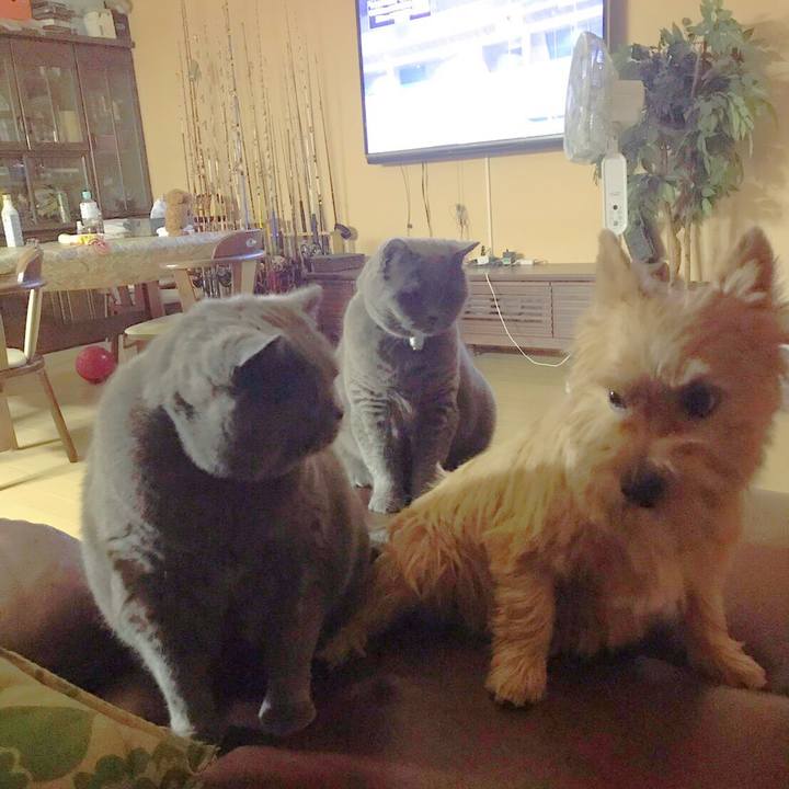 3993c315 cae8 4223 a766 77f366ace388 1773479085830