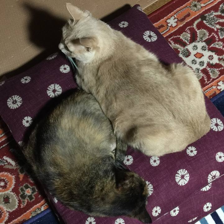 3993e923 7b35 4b70 ac77 00f173ef1824 1549290787651