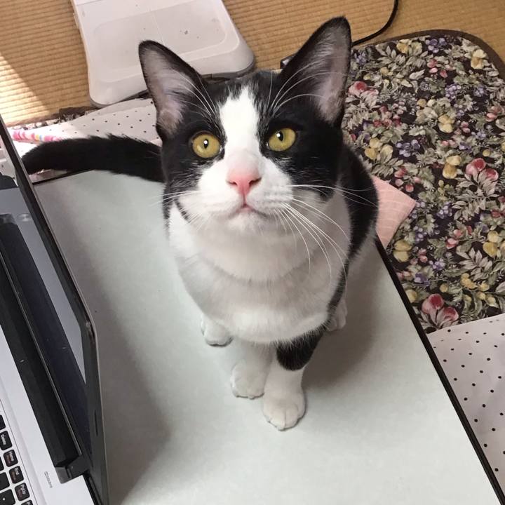 3993ea64 3523 4227 847e b6981b907124 1637036743173