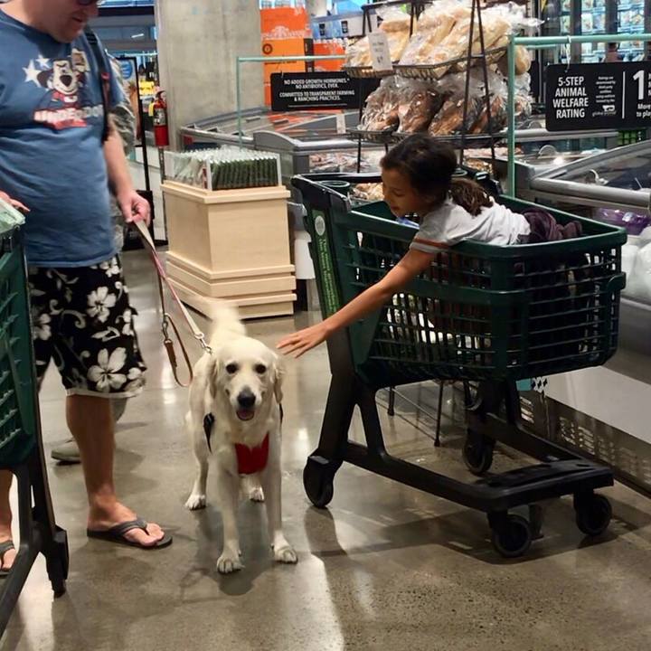 39940da9 f28b 4c13 ba16 25373dccc179 1542866764064