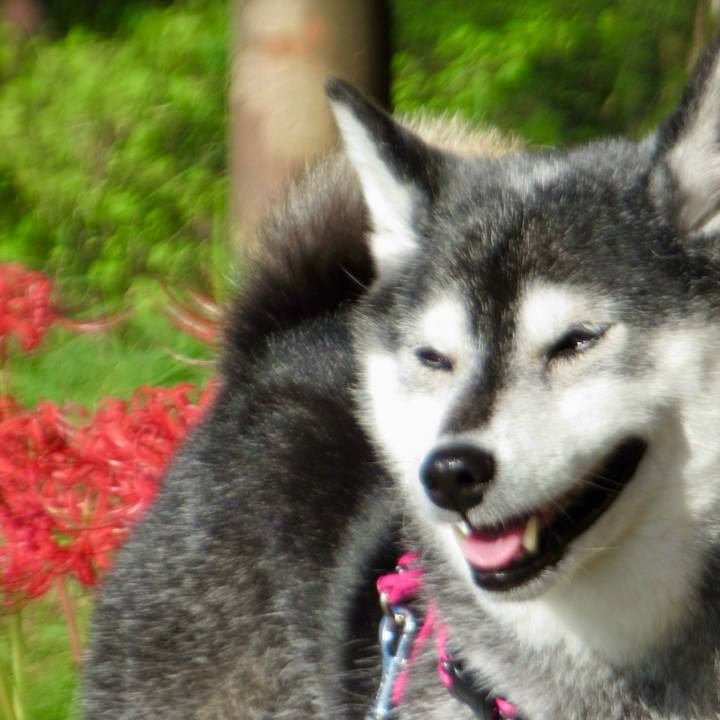 39941651 0fe9 4b6a abe1 1ad297c938fe 1759187365308