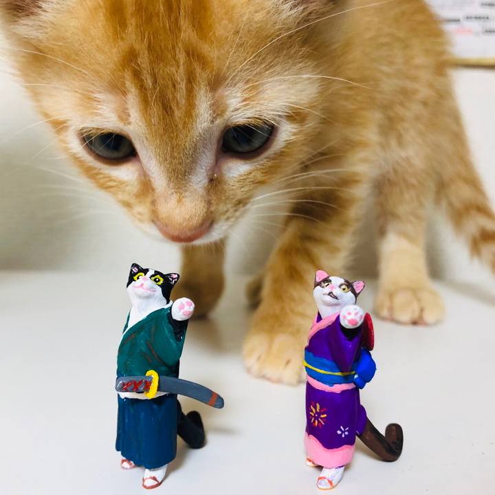 39943125 824a 4100 80dc 103966bbb7ac 1562383869659