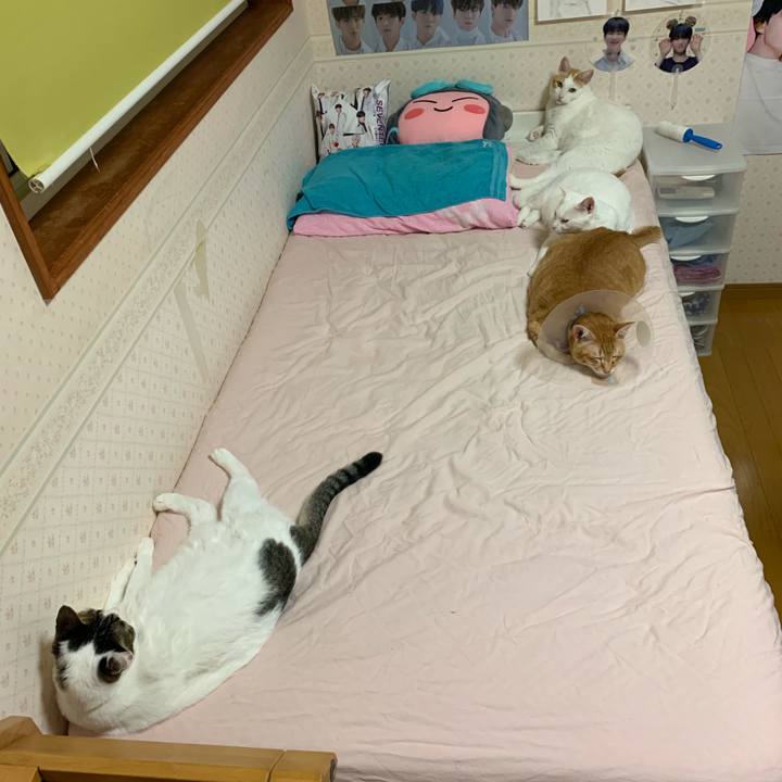 399442a5 5c24 4039 96df e3aca406acca 1568477635168