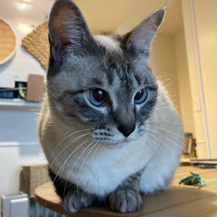 399443a1 f43b 489d b1c2 15a123e503ea 1613352937502