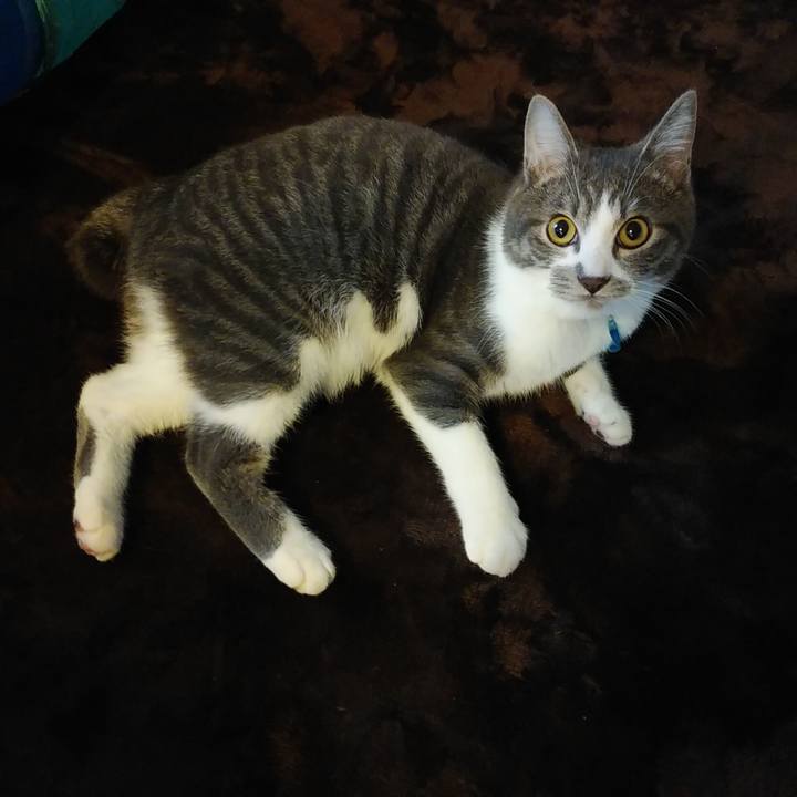 399445fa 7532 4e29 8611 55ab1bd70e33 1575846203325