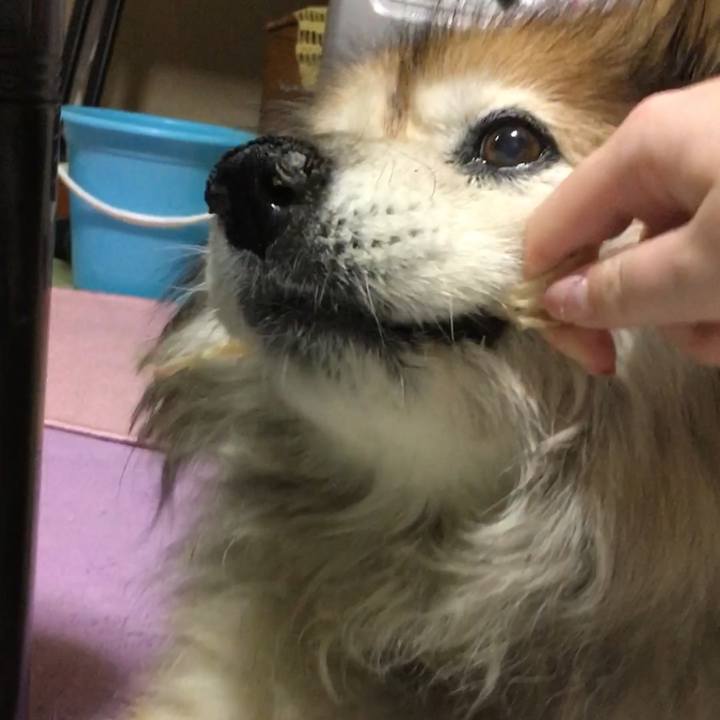 39945004 5503 4be0 948e d0588a675f73 1631153443139