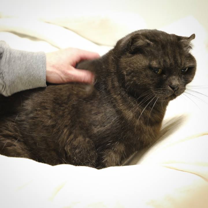 39945b01 e5ec 4001 995e b5a8b1241abc 1642093973976