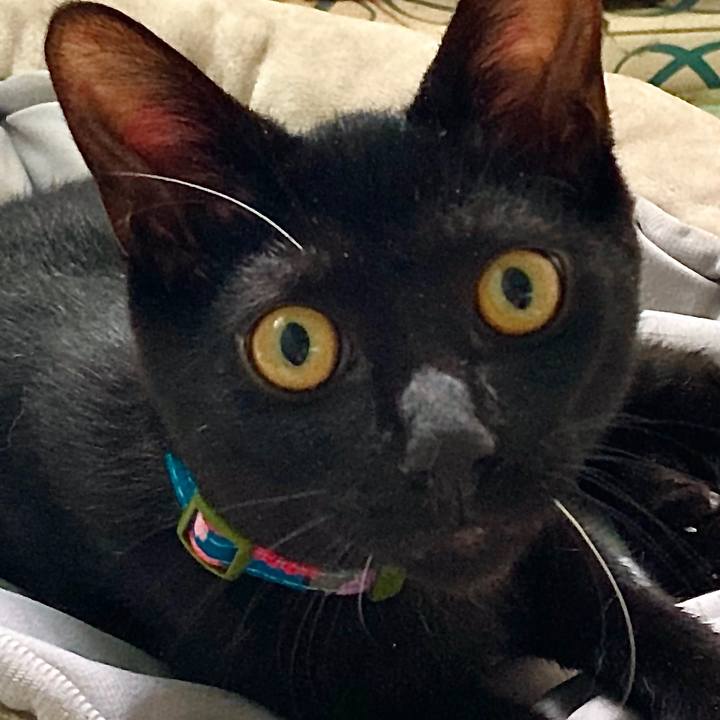 3994cd31 6a32 4c19 b7d5 9810a4102994 1632455045933