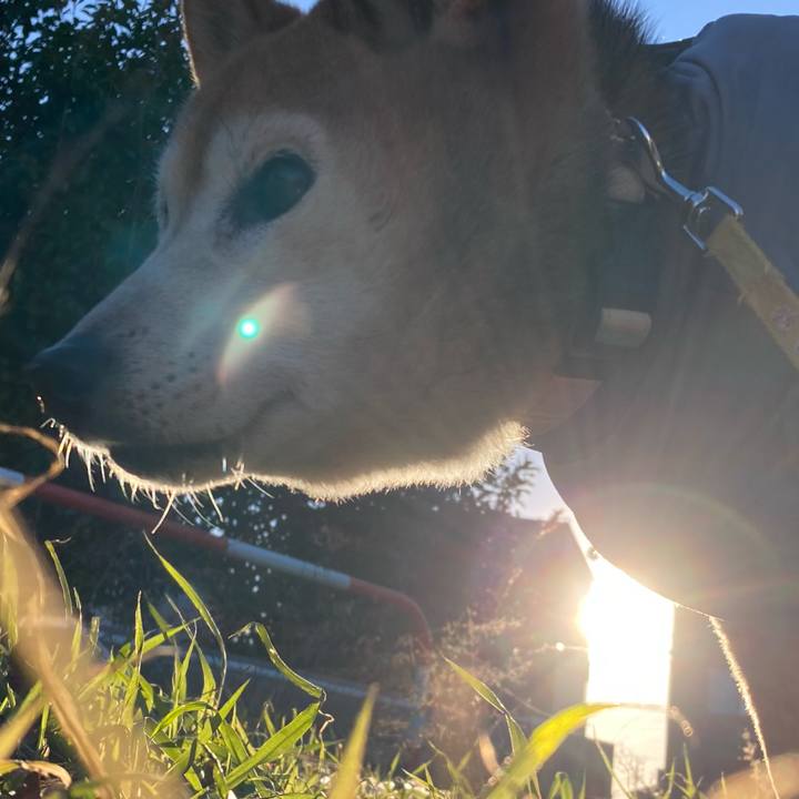 3994ce2f 30c1 4919 9996 b09509cdab05 1768033471804