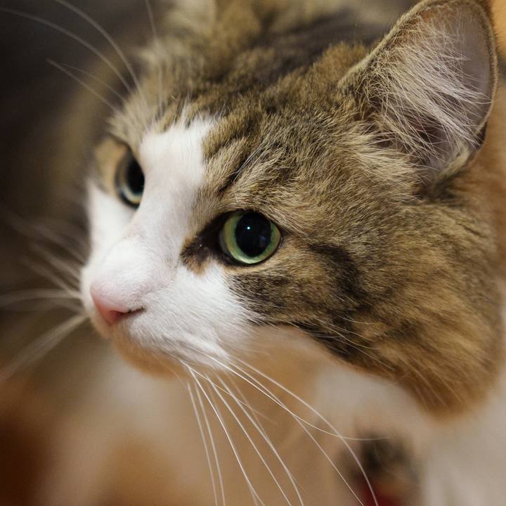 3994da55 56b2 4a82 85dd 121138ecf1ba 1708178210590