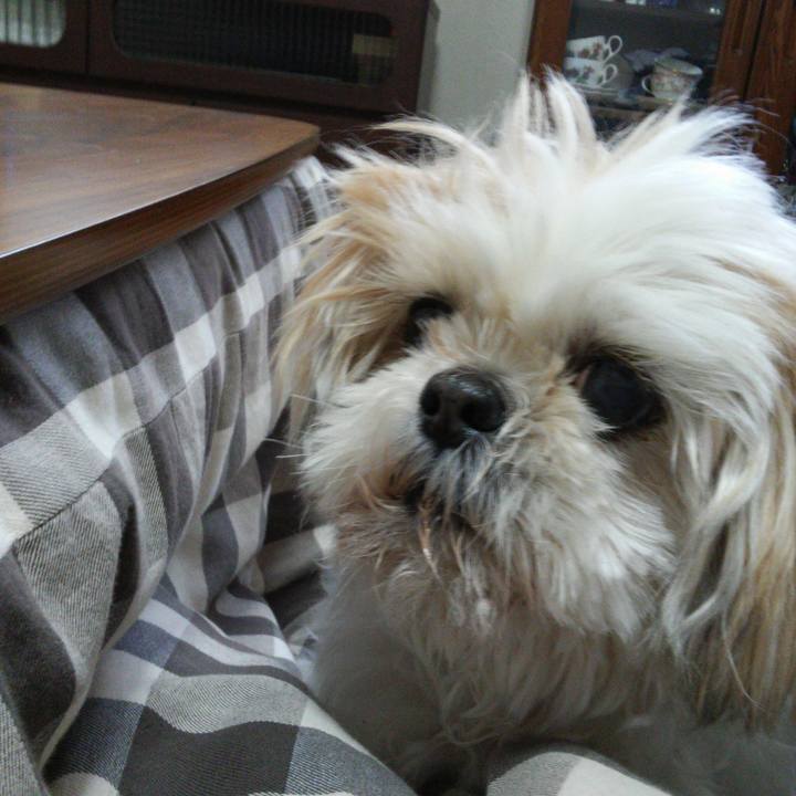 3994f514 ae15 4a24 9f75 448884078121 1521520918317