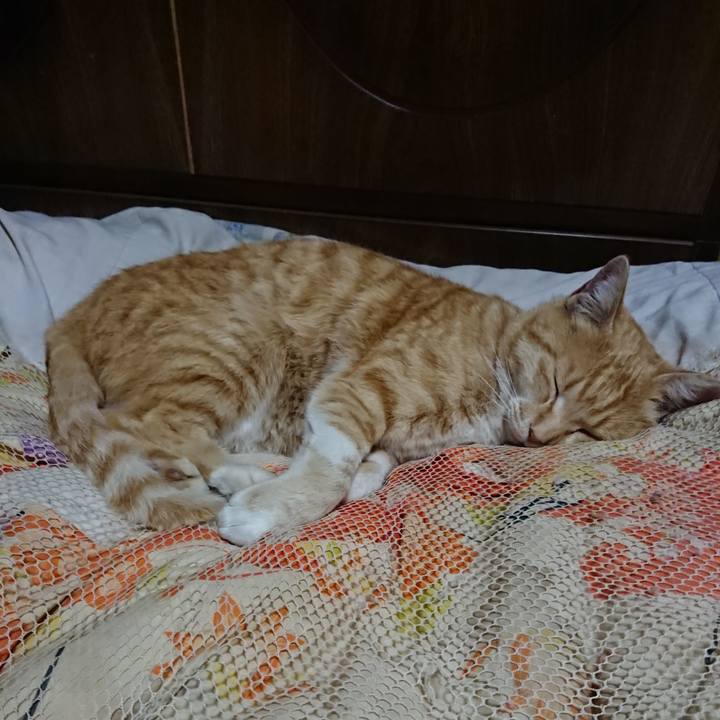 3994fde0 e3ac 429e 8780 6979a8494fc7 1587034909555