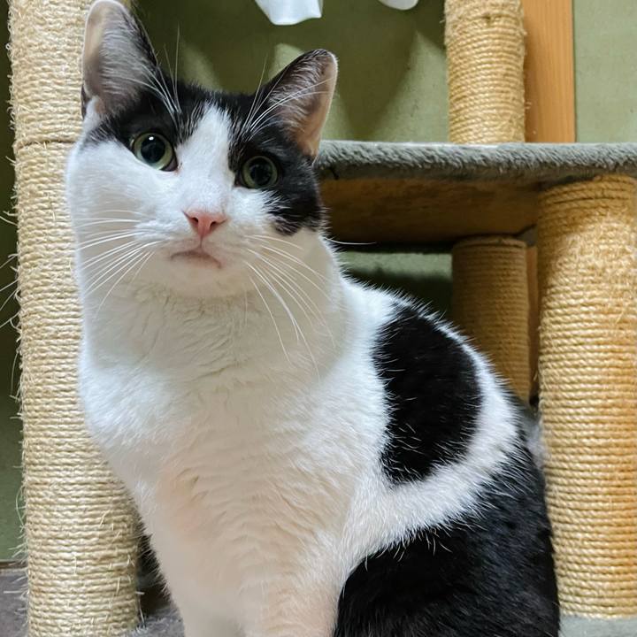 399533d8 be65 46e7 a4d1 00228aa2fae5 1641521514083