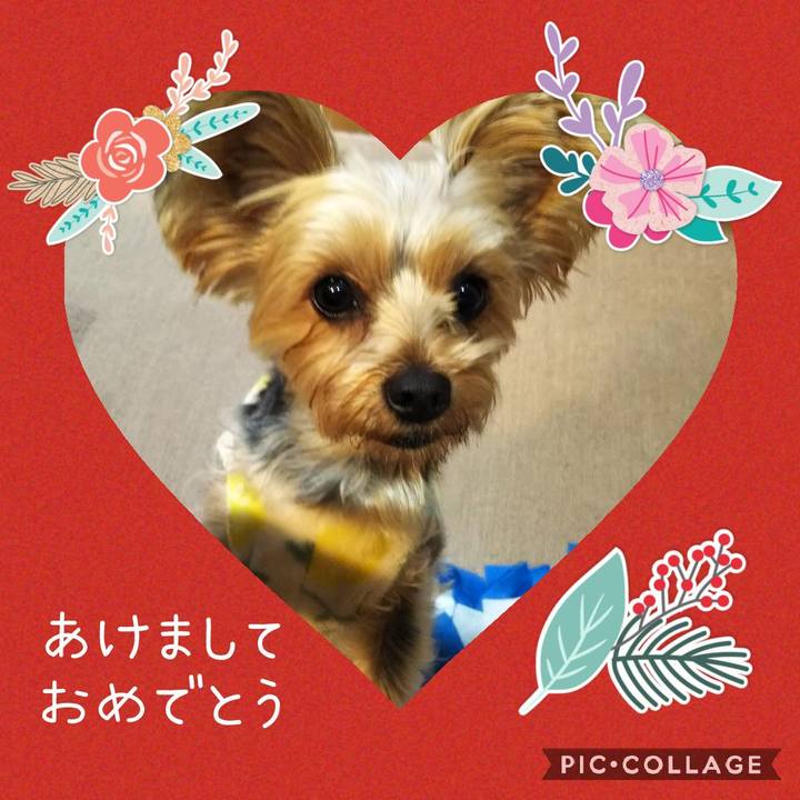 39953abd 776e 4cac a65d 9d447d1d20e8 1609471673619