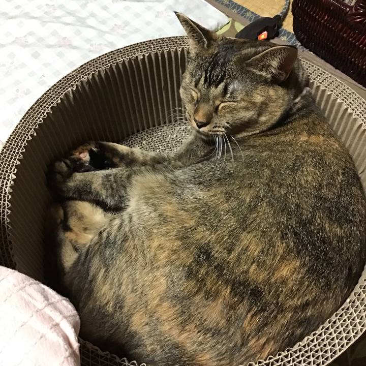 39959919 057a 440d a193 5876780c6815 1697367516261