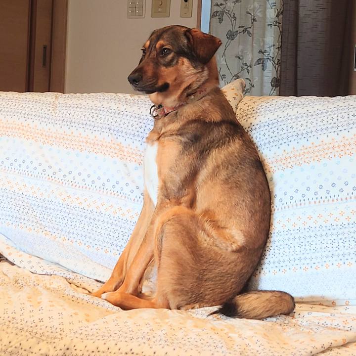 3996335b 139b 402d 999e 92571c49d878 1716190831705