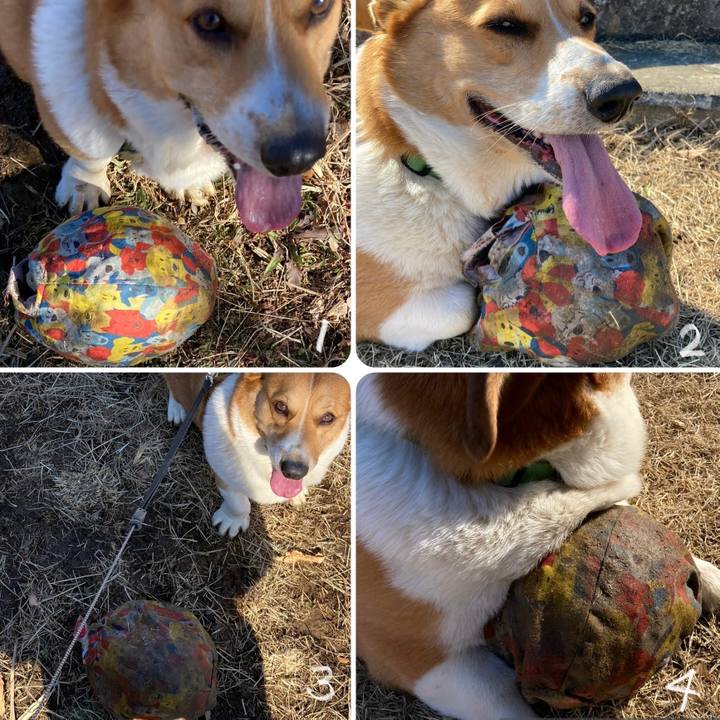 3996a875 5015 4ae1 83bd 7f62048508af 1738901110536