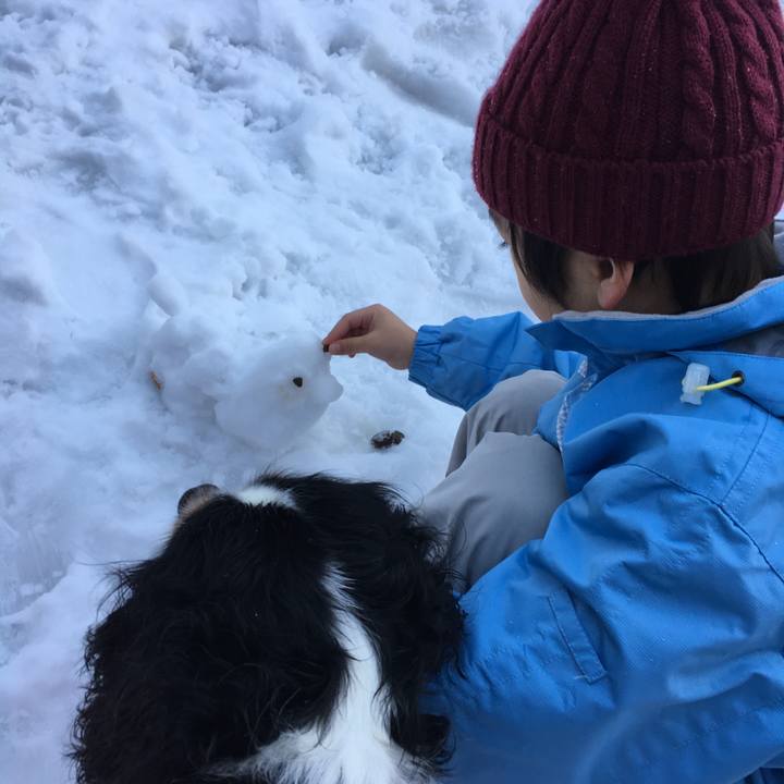 3996bd76 56dc 41d7 b602 d3a39a3ebbd8 1514859825369