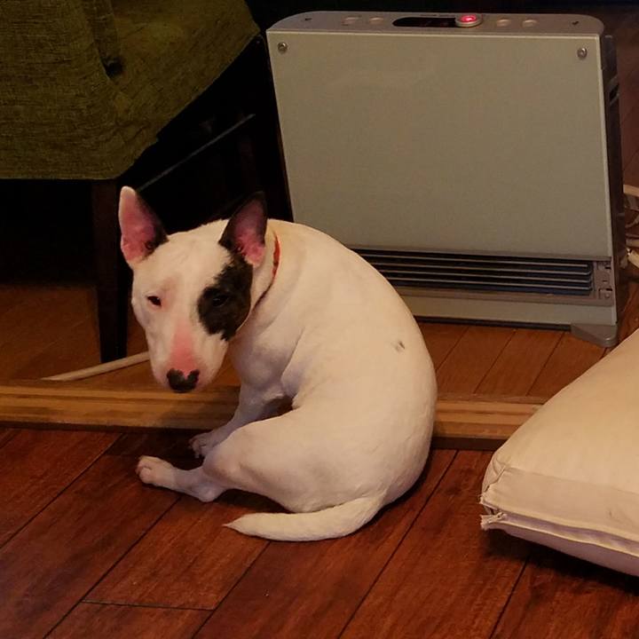 3997080b 392b 42ad aca6 8427fd935e24 1511757599519