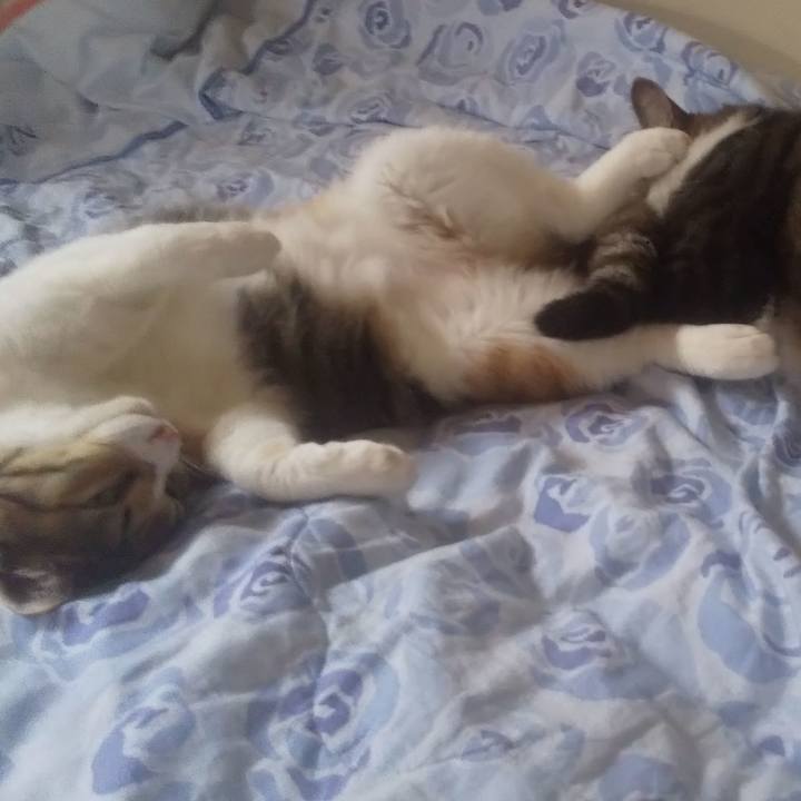 3997352e 6e0e 4f17 b28f 82594a051fe6 1741765956127