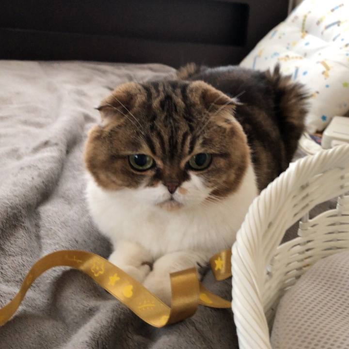 39976c4c 7315 4859 9b42 08ba9bfab0c6 1541655882110