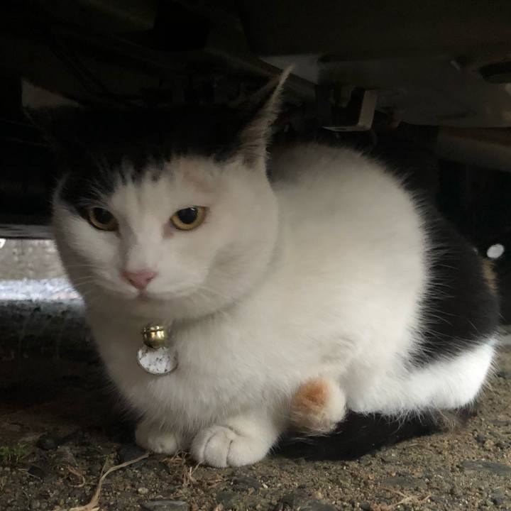 39976f1f f9ed 419b 9941 35b74371933c 1610663117865