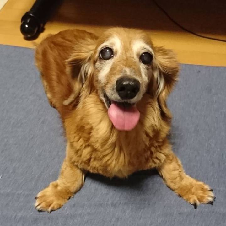 399790ed e4a7 4df8 ae0d 06a234e41e01 1742558170444