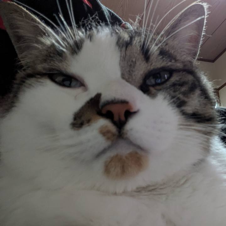 3997cac0 d53b 4d89 b306 774ab9b70dec 1747884821973