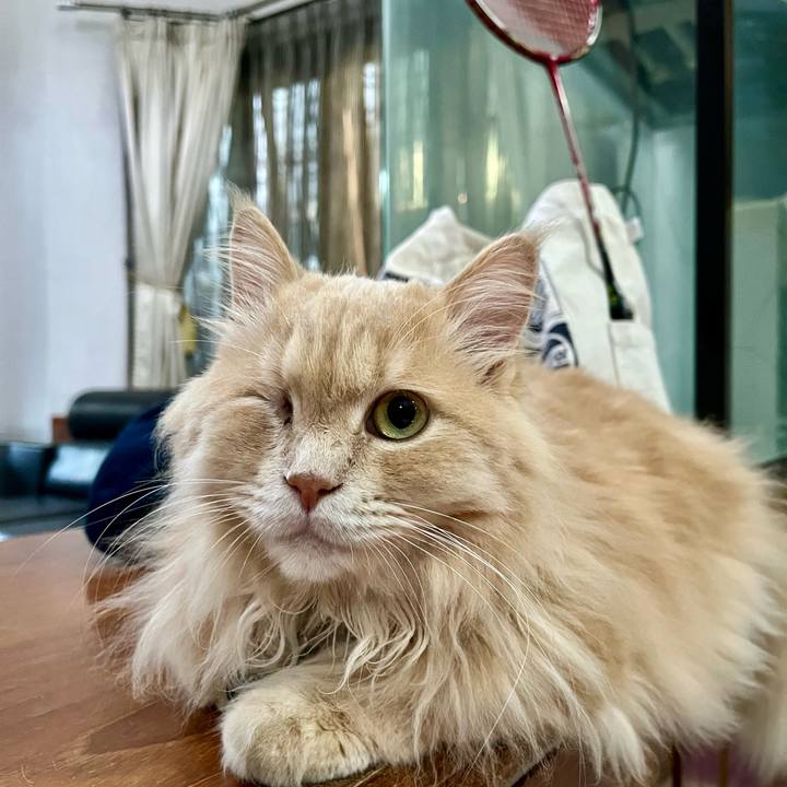 3997d71b eb68 4113 bd59 43fb7ac7c591 1763335090654