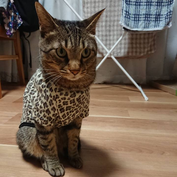 3997e591 42d3 4d14 a876 f84025c68bfb 1563207207910