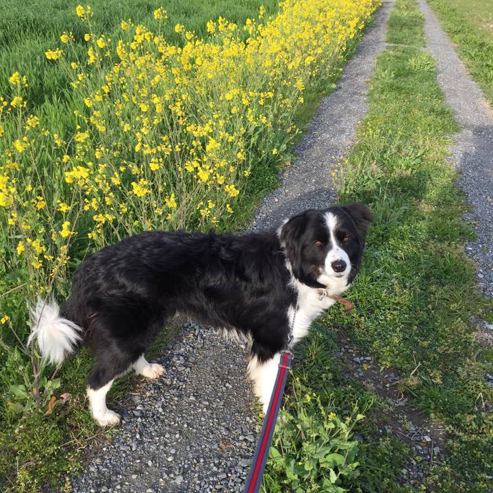 3997fa95 247f 45cb 9107 e3665bb965a6 1552517316954