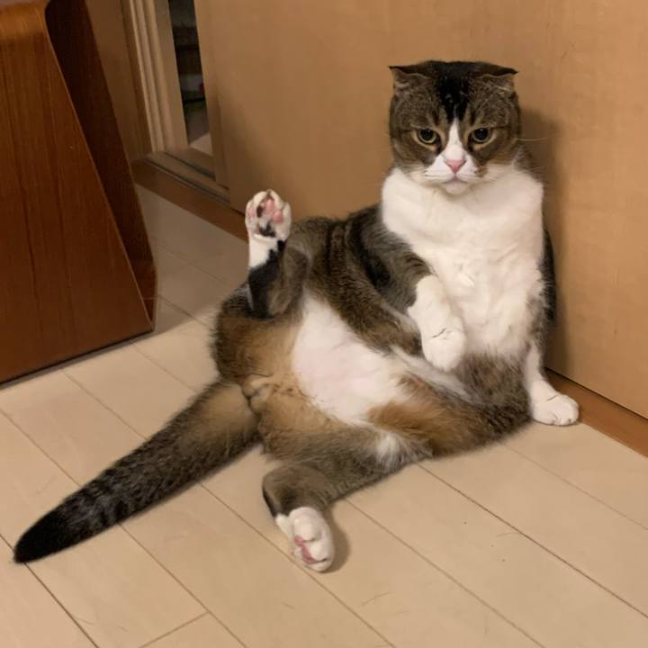 39980609 a5a8 42bd 9f5d 2d924fa2b0b9 1622821020140