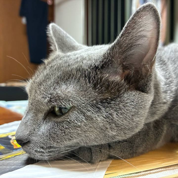 39982ef1 1219 4fb0 8e57 4b6939800042 1763022201352