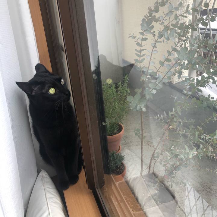 3998602b f5ef 42b8 9ab1 52f290d3f76f 1586309015471